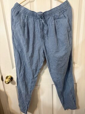 Patagonia Lightweight Blue Pinstripe Drawstring Pants